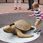 Myrtle the Turtle, Beacon Hill, Boston